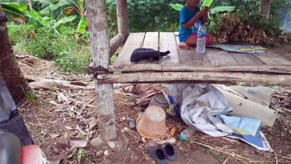 Di kebun
