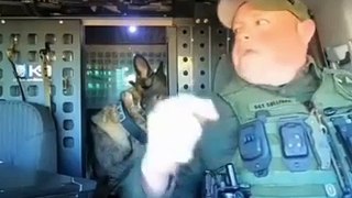 Fin de mission émouvante : un chien de police retrouve son maître pour une retraite bien méritée !