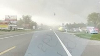 Pato de borracha atravessa estrada no Michigan, EUA