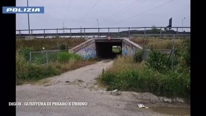 Tifoso Vis Identificato: Scopri di più sulla sua identità