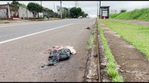 Cabeça de Bode é encontrada no meio da rua, em Cascavel