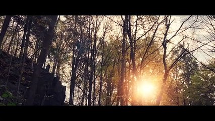 Comme des proie Streaming VF - FanStream