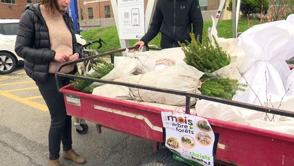 24 mai TOPO MS Mois de l'arbre