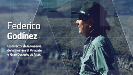 Reporte Climático 147 | El “muro de Trump”: una sentencia de muerte para la fauna