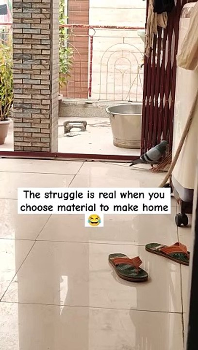 struggle in home making 