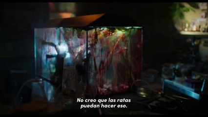 'Sting: Araña asesina' - Tráiler Oficial