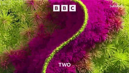 RHS Chelsea Flower Show 2024 episode 12