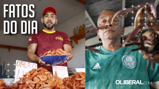 Mesmo sem reajuste, preço do caranguejo e do camarão desagrada consumidores de Belém