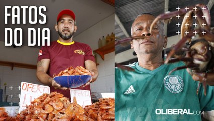 Mesmo sem reajuste, preço do caranguejo e do camarão desagrada consumidores de Belém