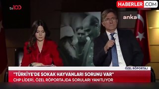 CHP Genel Başkanı Özgür Özel: Türkiye'de sokak hayvanları sorunu var ama çare uyutma değil