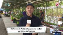 Pase en vivo - Feria del aguacate