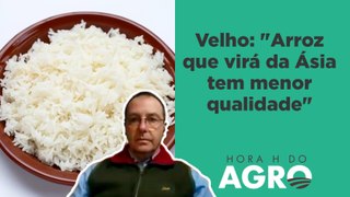 Importação de arroz gera impasse entre governo e o agro | HORA H DO AGRO