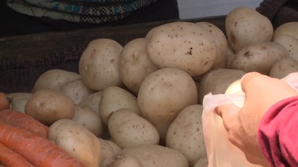 Feria del Agricultor