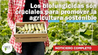 Los biofungicidas son cruciales para promover la agricultura sostenible | 658 | 27 mayo-2 junio 2024