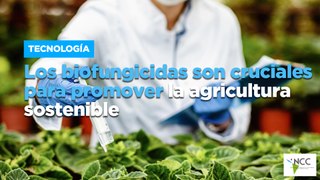 Los biofungicidas son cruciales para promover la agricultura sostenible