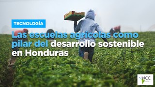Las escuelas agrícolas como pilar del desarrollo sostenible en Honduras