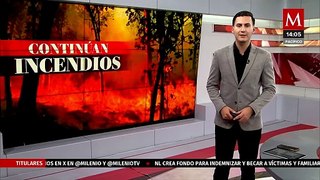 Incendios forestales afectan a más de 50 hectáreas en Nuevo León
