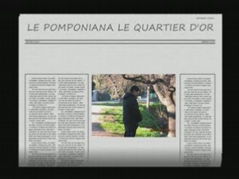 POMPO le quartier d'or