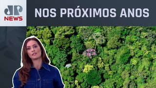 América Latina terá mais de 15 milhões de vagas na área ambiental; Patrícia Costa analisa