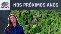 América Latina terá mais de 15 milhões de vagas na área ambiental; Patrícia Costa analisa