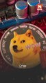 #NotivisionScz | Muere Kabosu, la perrita japonesa de los memes virales y la criptomoneda Dogecoin.