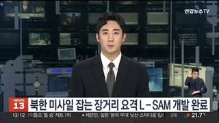 북한 미사일 잡는 장거리 요격 L-SAM 개발 완료