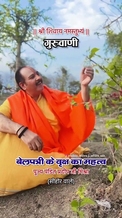 गुरुवाणी; एक बेलपत्री के वृक्ष का महत्व कितना है .#pandit_pradeep_ji_mishra #shortsvideo #instagram
