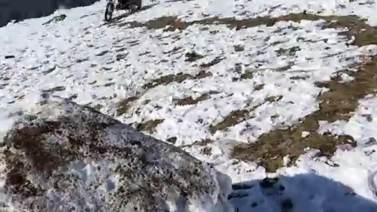 Snow in my village