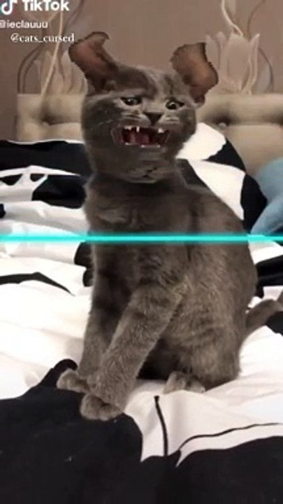 OMG