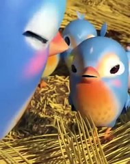 Five Little Birds  CoComelon Kids Songs & Nursery Rhymes