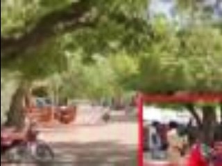 neem trees' Which city is called 'city of