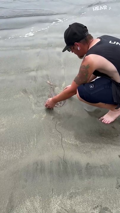 Kindhearted Hero Rescues Stingray Stuck in Mud!