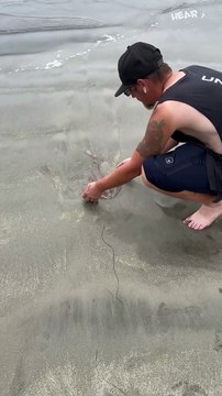 Kindhearted Hero Rescues Stingray Stuck in Mud!