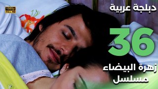 Beyaz Gelincik | مسلسل زهرة البيضاء 36 - دبلجة عربية FULL HD