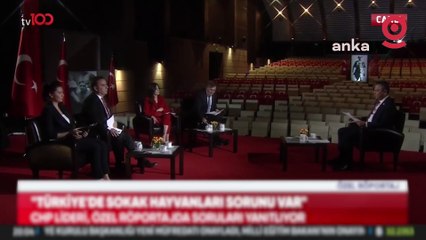 CHP Genel Başkanı Özel, sokak hayvanları sorununa ilişkin konuştu