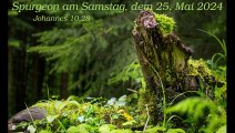 Spurgeon am Samstag, dem 25. Mai 2024