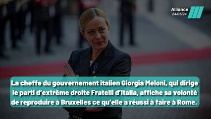 Le Pen, Meloni, Orban et Wilders sur la même ligne ?