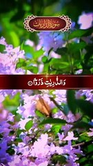 Quran Recitation Beautiful Voice - Quran Recitation - Quran Studio
