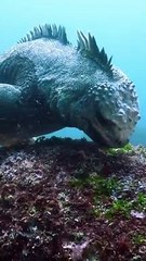 Meanwhile, this is the real life version of Godzilla: