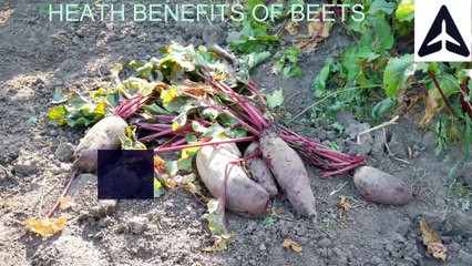 Top  Health Benefits of Eating Beets Every Day