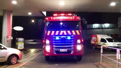 Download Video: Raposa agitada invade posto de combustíveis dá trabalho ao Corpo de Bombeiros