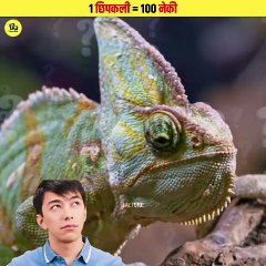 इस्लाम में छिपकली को मारने का हुक्म_--_ Lizard in Islam _shorts(720P_60FPS)
