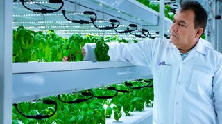 Baby potatoes, rice, wheat to be grown in vertical farm
