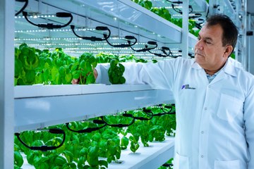 Baby potatoes, rice, wheat to be grown in vertical farm