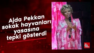 Ajda Pekkan sokak hayvanları yasasına tepki gösterdi