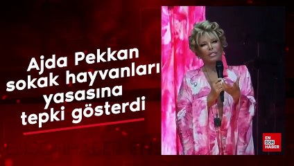Ajda Pekkan sokak hayvanları yasasına tepki gösterdi