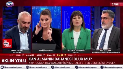 Başıboş sokak köpekleri tartışmasında verilen timsah örneği şaşırttı