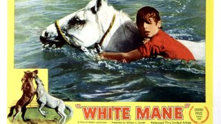VOICI : Mort d'Alain Emery, le jeune héros du film Crin Blanc, révélé à l'âge de 11 ans
