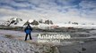 Antarctique (manchots)