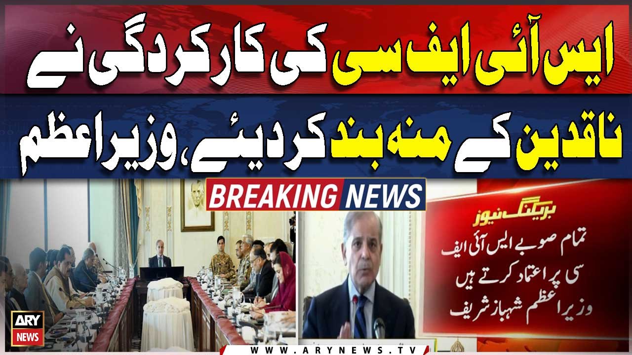 PM Shehbaz Sharif says SIFC's performance has silenced critics